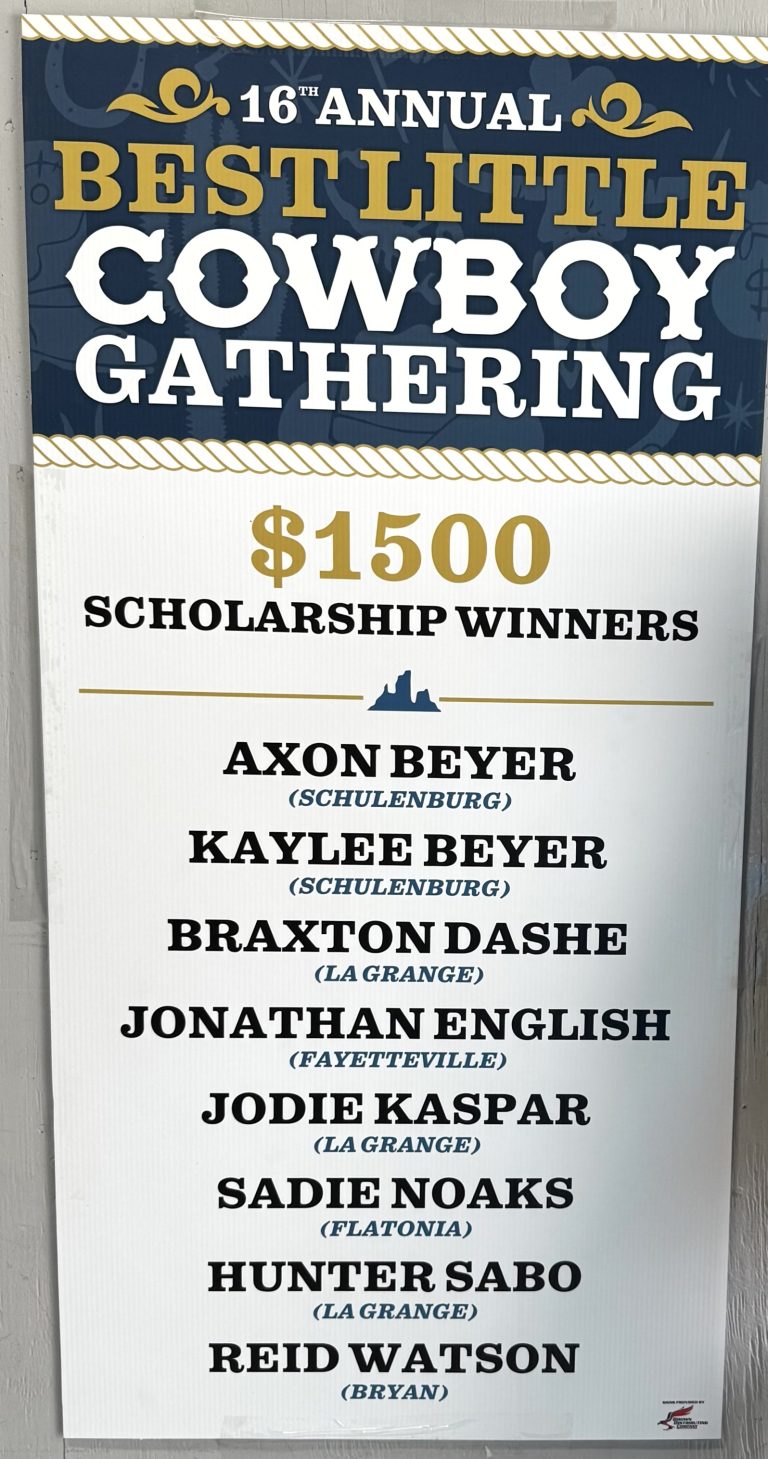 Scholarship winners from 2026